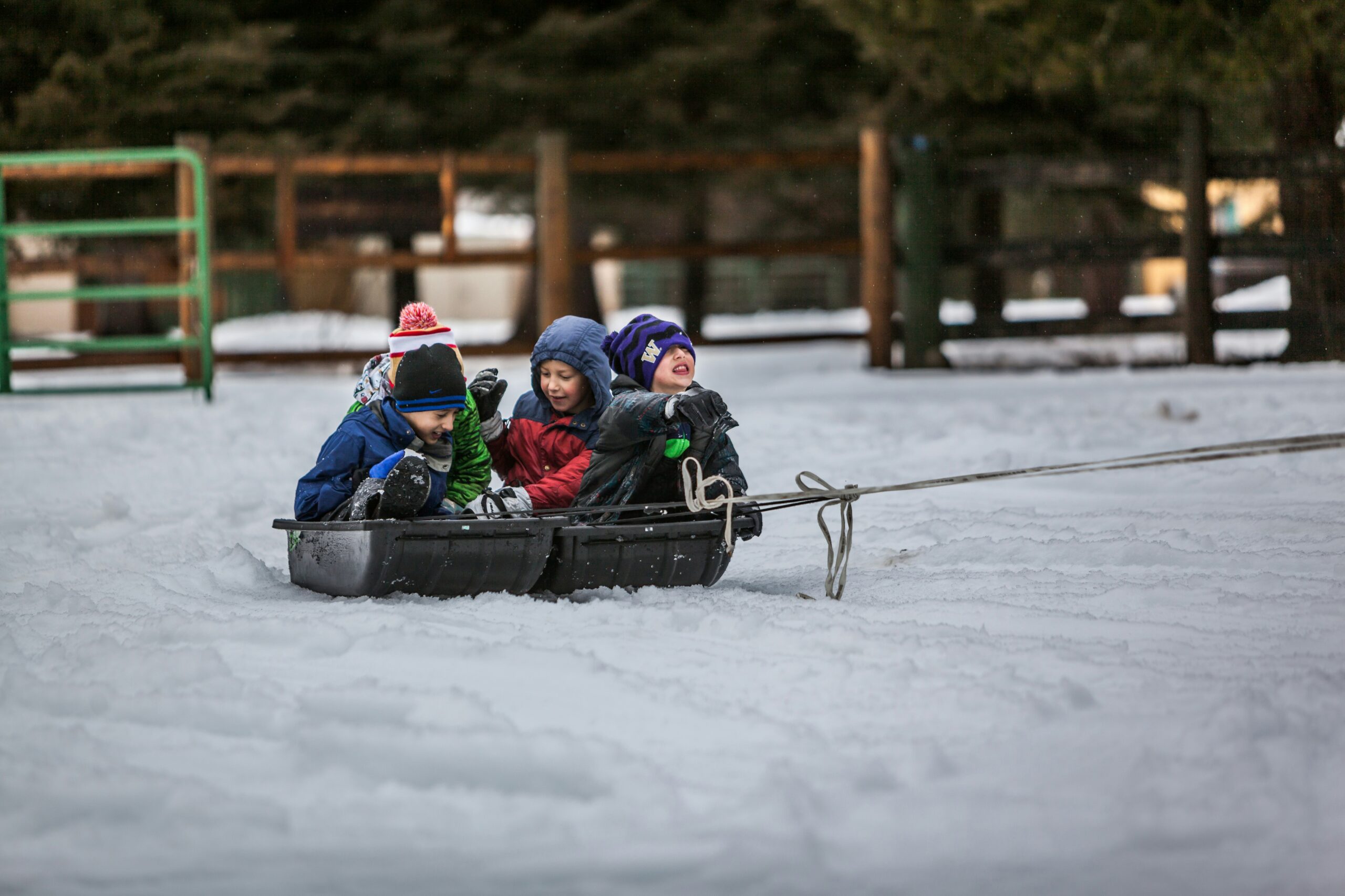 雪遊びをする子どもたち