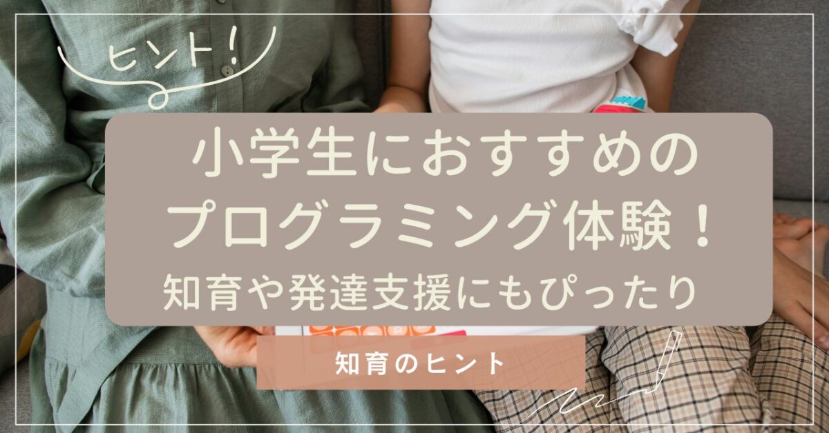 プログラミング